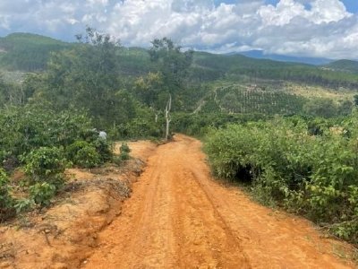 Làn sóng bỏ phố về rừng làm farmstay và những cách lựa chọn quỹ đất phù hợp nhất