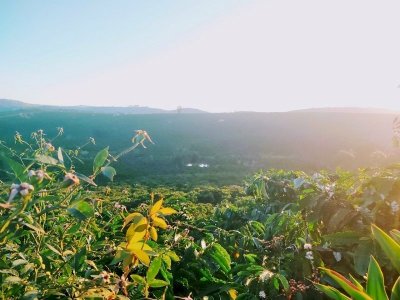 Cần bao nhiêu tiền để bỏ phố về quê sống thoải mái an yên