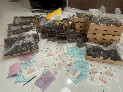 Hoa hậu Võ Thu Sương và hành trình mang Cherry Úc nhập khẩu đến từng đơn hàng giao tận tay khách Việt