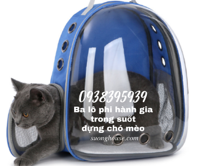 Balo phi hành gia túi vận chuyển chó mèo trong suốt