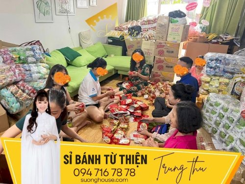 Sỉ bánh từ thiện Trung thu 19k - Như Ý - SH206