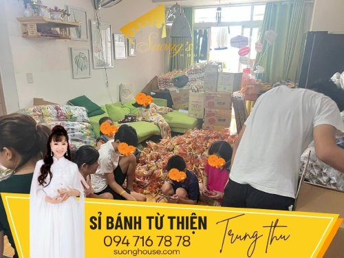 Bánh từ thiện 19k cho mạnh thường quân từ thiện Trung thu - Như Ý - SH208