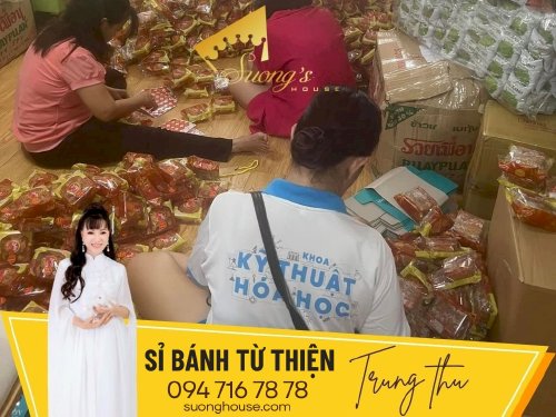 Bánh Trung thu 19k đi từ thiện - Như Ý - SH209