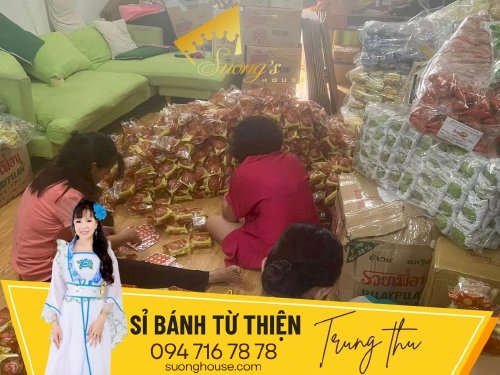 Sỉ bánh Trung thu từ thiện 19k - Như Ý - SH204