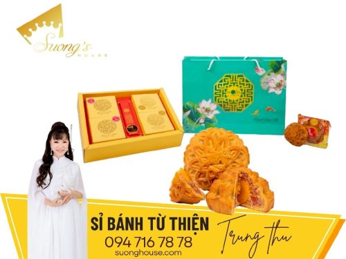 Hộp bánh Trung thu vị dừa, vị thập cẩm cho từ thiện Như Ý - SH213