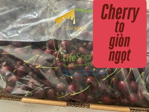 Cherry 1kg nhập khẩu loại 1 to, giòn, ngọt - SH230