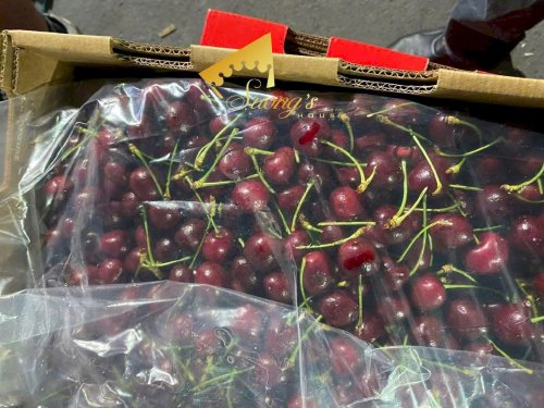 Cherry Chile Quelen chủng rengina size 30/32 siêu to bán lẻ từ 1kg - SH232
