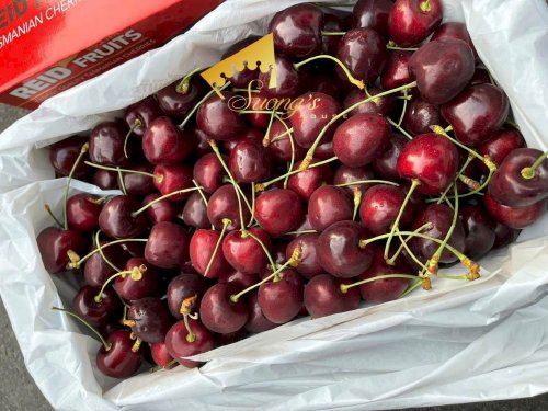 Cherry Úc Tasmania 1kg nhập khẩu loại đặc biệt - SH231