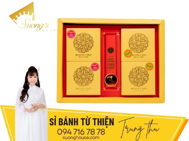 Hộp bánh Trung thu vị dừa, vị thập cẩm cho từ thiện Như Ý - SH213