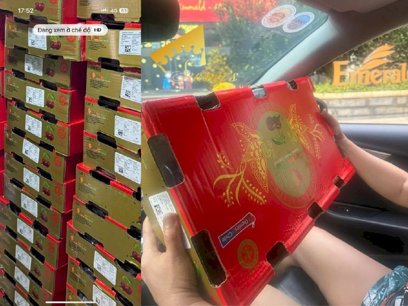 Cherry Chile Quelen chủng rengina size 30/32 siêu to bán lẻ từ 1kg - SH232