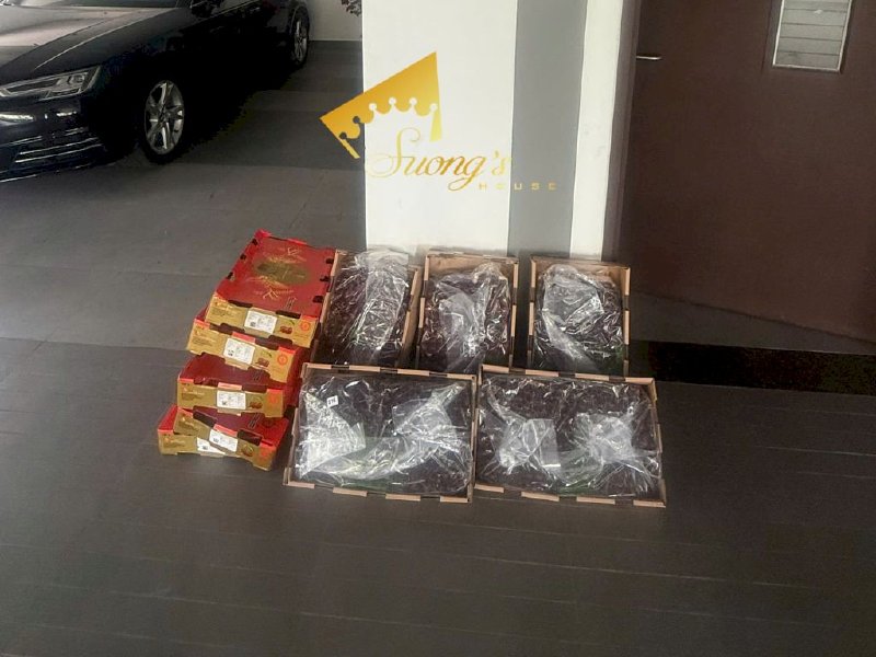 Cherry Chile Quelen chủng rengina size 30/32 siêu to bán lẻ từ 1kg - SH232