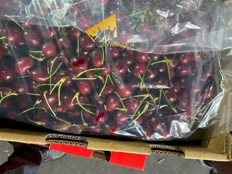 Cherry Úc Tasmania 1kg nhập khẩu loại đặc biệt - SH231