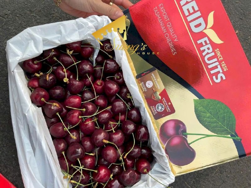 Cherry Úc Tasmania 1kg nhập khẩu loại đặc biệt - SH231