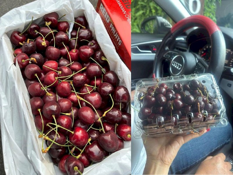 Cherry Úc Tasmania 1kg nhập khẩu loại đặc biệt - SH231